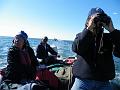 Wales-Nome 136